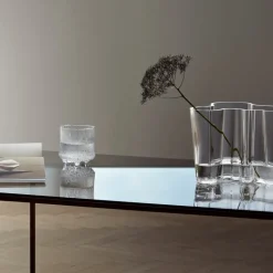 Iittala Aalto duo vase, clear Transparent Outlet