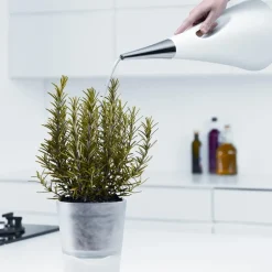 Eva Solo AquaStar Watering can, White Outlet
