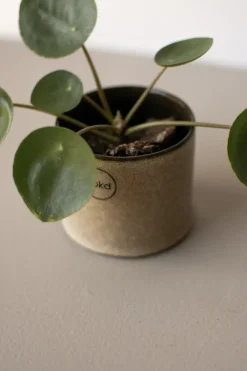 DBKD Astillbe flower pot small Ø7 cm, Beige Sale