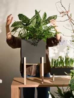 Design House Stockholm Botanic pedestal flower pot, -box Black