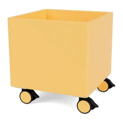 Montana Colour Box I – S6161, Acacia Yellow New