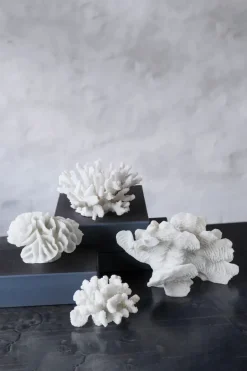 Mette Ditmer Coral branches , Large White New