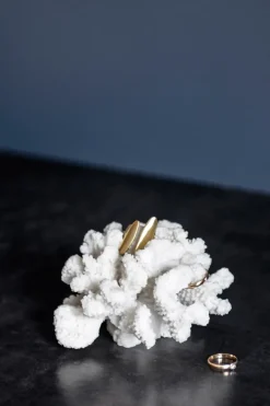 Mette Ditmer Coral branches , Small White Hot