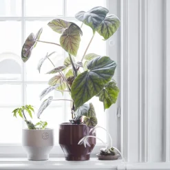Fritz Hansen Edge pot (indoor) Ø18 cm, burned red BrownOrangeRed Discount