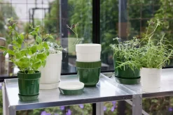 Sagaform Elise herb pot Ø11 cm, Green