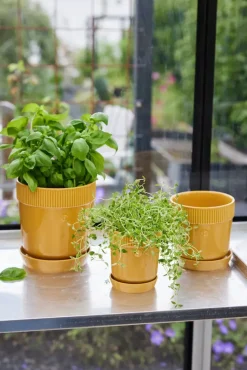 Sagaform Elise herb pot Ø11 cm, Yellow New