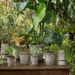 Bergs Potter Elizabeth flower pot Ø14 cm, Grey Sale