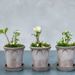 Bergs Potter Elizabeth flower pot Ø14 cm, Grey Sale