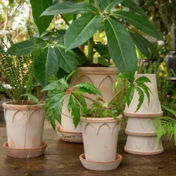 Bergs Potter Elizabeth flower pot Ø12 cm, rose Pink Best
