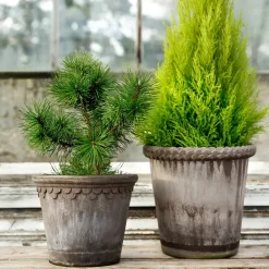 Bergs Potter Emilia flower pot 16 cm, Grey Discount