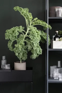 Ferm Living plant box, Black New
