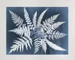 Fine Little Day Fern star poster, 40x50 cm BlackWhite Hot