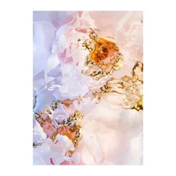 Paper Collective Flora Aquatica 03 poster, '70x100 cm' Multi