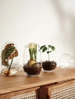 Design House Stockholm Grow greenhouse, Medium Ø11 cm Transparent Best