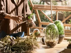 Design House Stockholm Grow greenhouse, Medium Ø11 cm Transparent Best