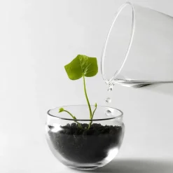 Design House Stockholm Grow greenhouse, small Ø8 cm Transparent Clearance