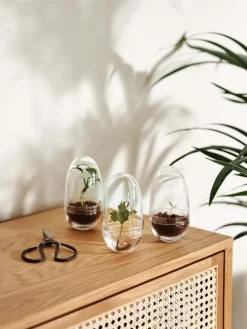 Design House Stockholm Grow greenhouse, small Ø8 cm Transparent Clearance