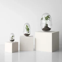 Design House Stockholm Grow greenhouse, x-large Ø20 cm Transparent Discount