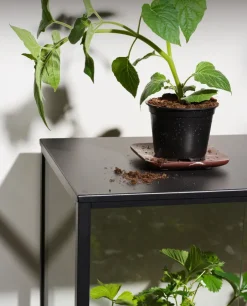 Brafab Grower Greens plant cabinet, , 81x82 cm Black