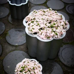 Byarums bruk Gråsippa plant pot, Aluminum sand-casted, no. 3 Ø62 cm Silver-coloured New