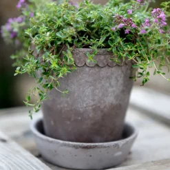 Bergs Potter Helena flower pot Ø10 cm, Grey Sale
