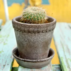 Bergs Potter Helena flower pot Ø10 cm, Grey Sale