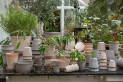 Bergs Potter Helena flower pot Ø12 cm, Pink Online