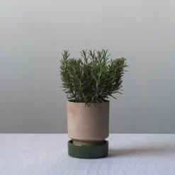 Bergs Potter Hoff pot, Ø18 cm, Raw Rosa-Emerald Green PinkGreen Best