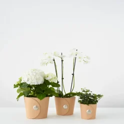 A2 Hug flower pot, Light , h.15 cm Ø18 cm Brown New