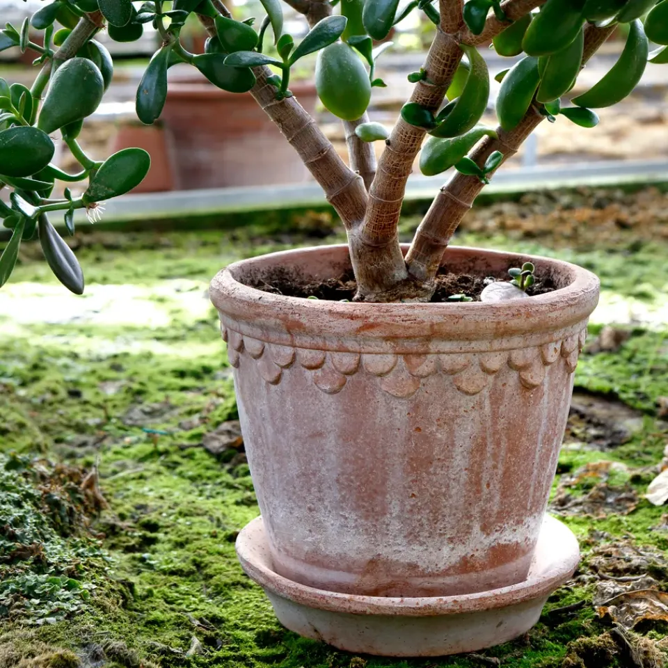 Bergs Potter Københavner flower pot 21 cm, Pink Best
