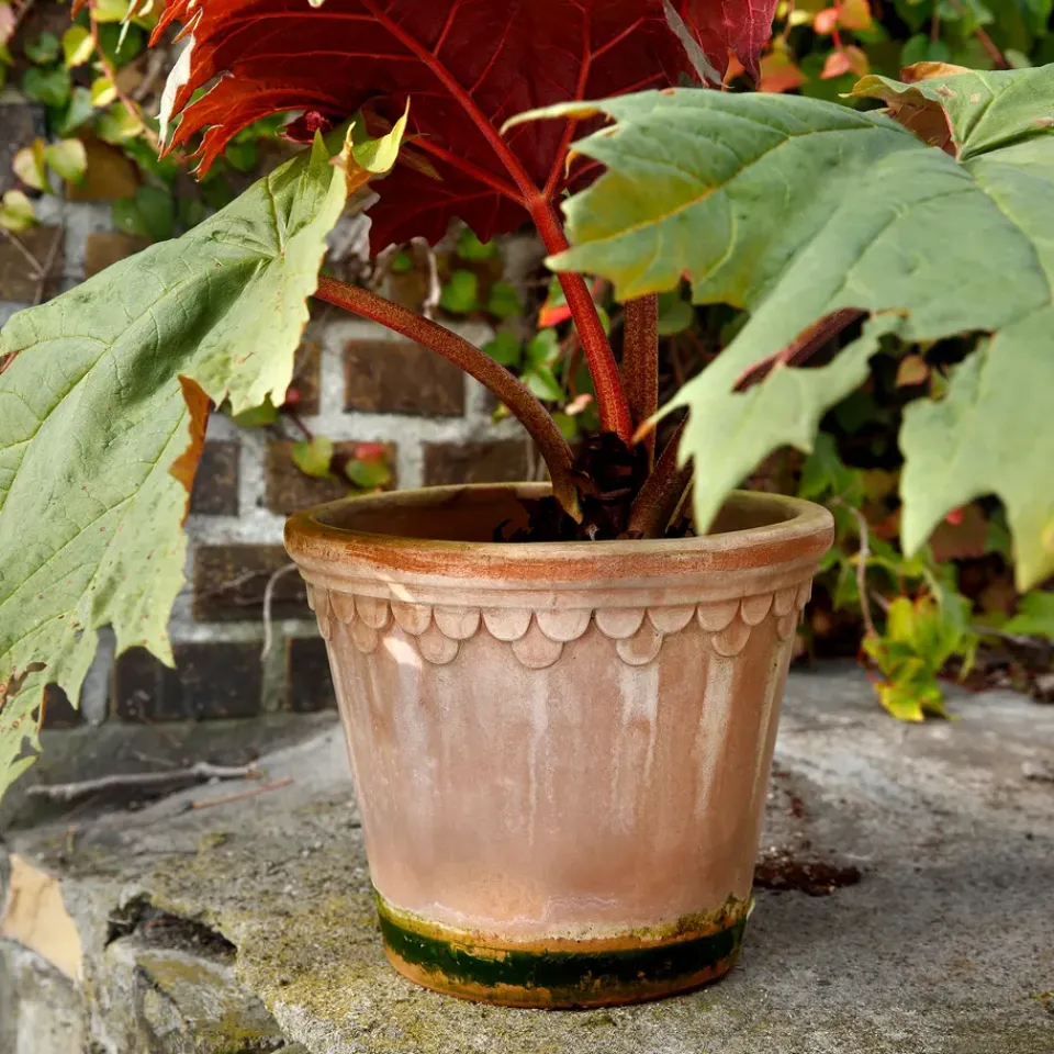 Bergs Potter Københavner flower pot 21 cm, Pink Best