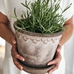 Bergs Potter Københavner flower pot 21 cm, Grey New