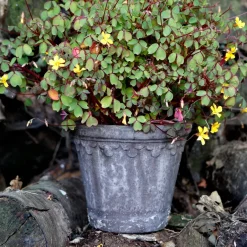 Bergs Potter Københavner flower pot Ø16 cm, Grey Discount