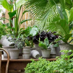 Bergs Potter Københavner flower pot Ø25 cm, Grey Sale