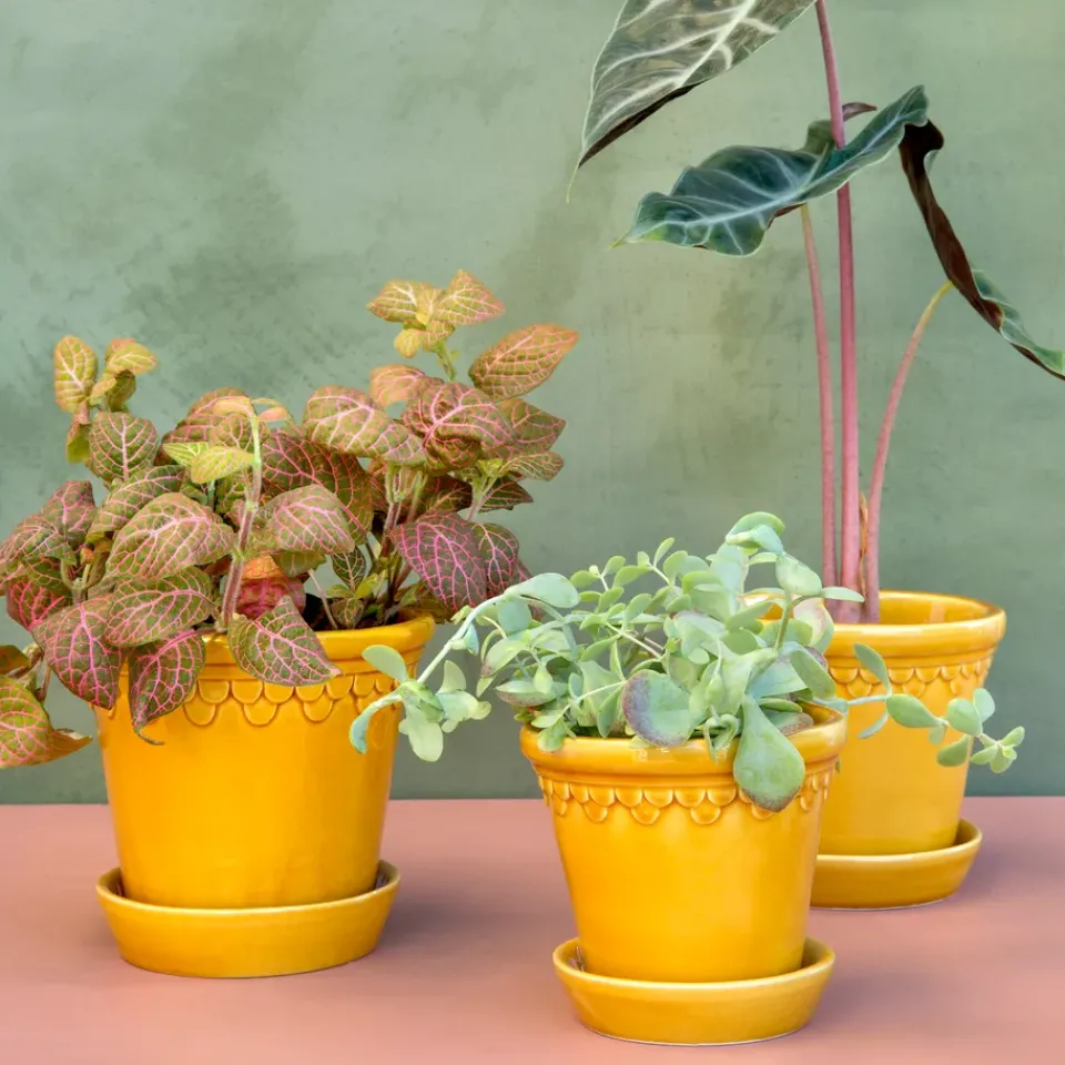 Bergs Potter Københavner flower pot glazed Ø16 cm, Yellow Discount