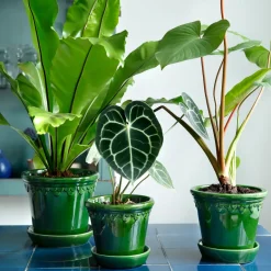 Bergs Potter Københavner flower pot glazed Ø18 cm, Green Discount