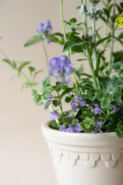 Bergs Potter Københavner flower pot glazed Ø10 cm, Sand stone Beige Hot