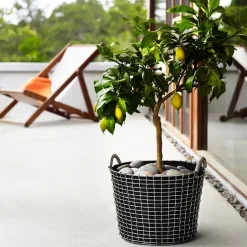 KORBO classic 24, galvanized steel Silver-coloured Sale