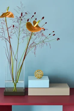 Mojoo Lux lacquered storage box 38x19x7 cm, Fawn Grey Discount