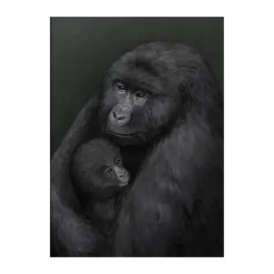 Kunskapstavlan® Mountain gorilla poster, 50x70 cm Multi
