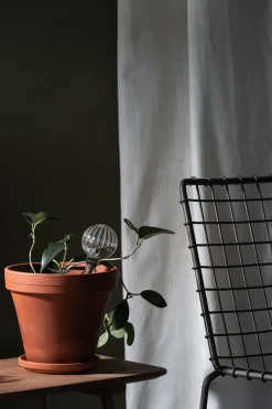 Muurla self-watering 15 cm, Clear Transparent Online