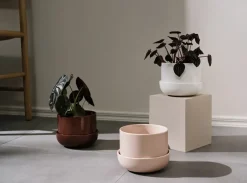 Iittala Nappula flower pot with saucer Ø17 cm h13 cm, White Hot