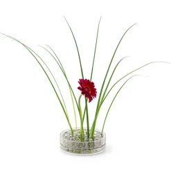 KLONG Äng vase, pond, Stainless steel Silver-coloured New