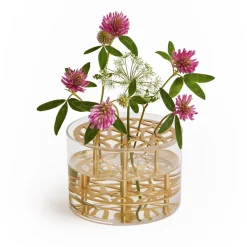 KLONG Äng vase, small, brass Gold-colouredTransparent Discount