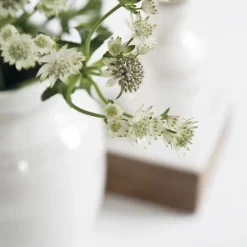Kähler Omaggio vase pearl, medium White Outlet