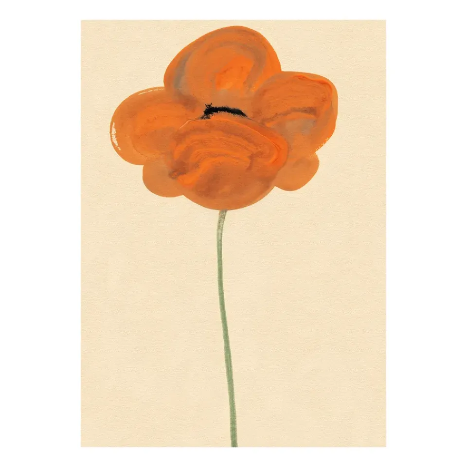 Paper Collective Orange Vallmo poster, 30x40 cm PinkRed Best