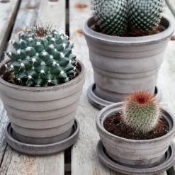 Bergs Potter Planet Venus flower pot Ø14 cm, Grey Sale