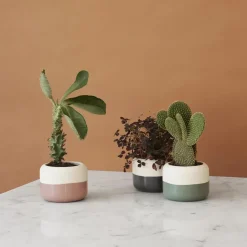 RIG-TIG Plant-It herb pot Ø8.5 cm, Pink Online