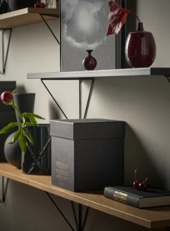 Maze Pythagoras shelf, oak Brown Best