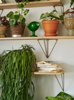 Maze Pythagoras shelf, oak Brown Best